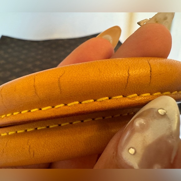 Authentic Sac da Plat from Louis Vuitton - Picture 11 of 15